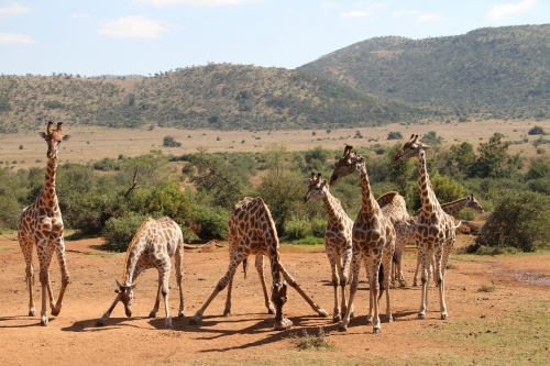 Sudáfrica