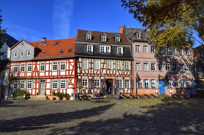 ALEMANIA ROMANTICA  Y SELVA NEGRA