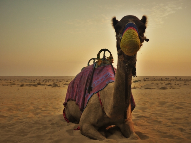 DUBAI MARAVILLOSO - VISITANDO CUATRO EMIRATOS