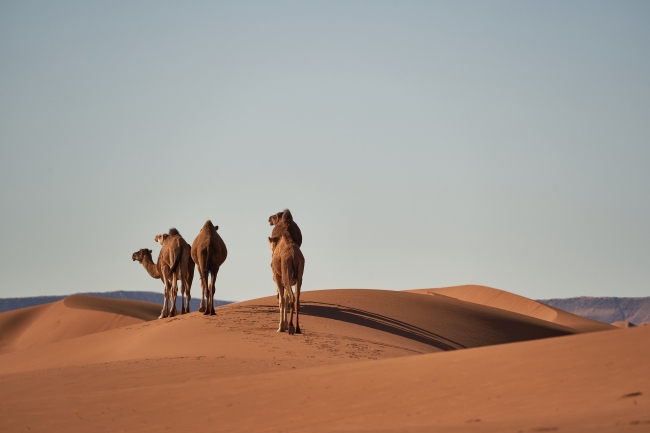 MARRUECOS - CIUDADES IMPERIALES 