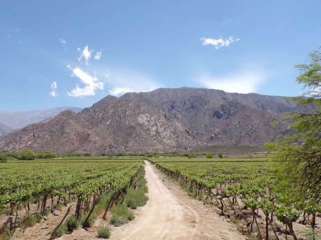 SALTA - SALINAS Y COLORES