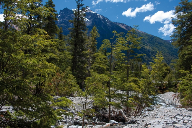 BARILOCHE 2022 - PROMOCION EN CUOTAS