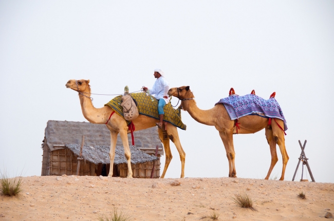  DUBAI - OFERTA 5 DIAS
