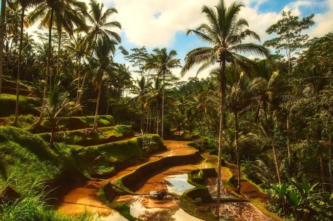 LO MEJOR DE BALI -  EN PRIVADO
