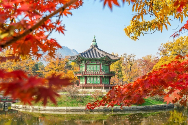SEUL CON BANZAI JAPON
